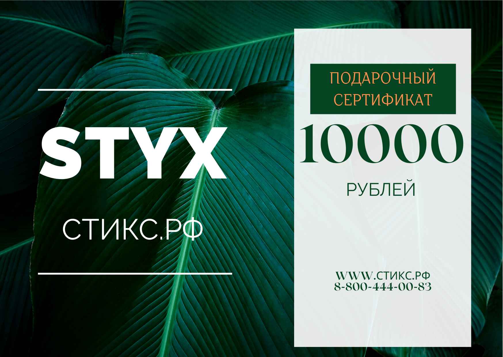 СЕРТИФИКАТ НА 10000 р. - купить по выгодной цене - СТИКС.РФ